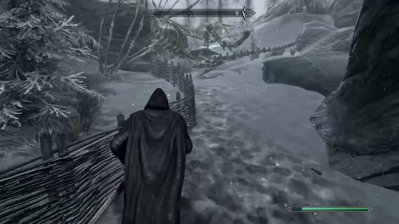Skyrim