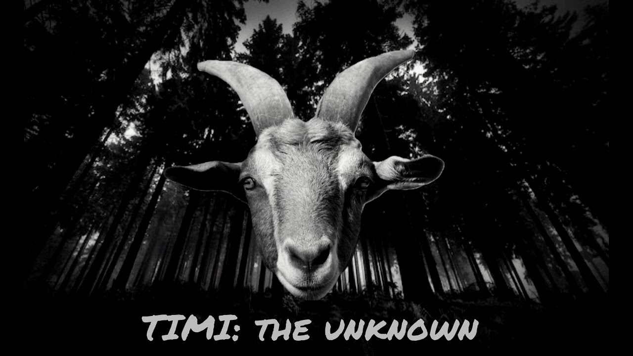 TIMI: the unknown 