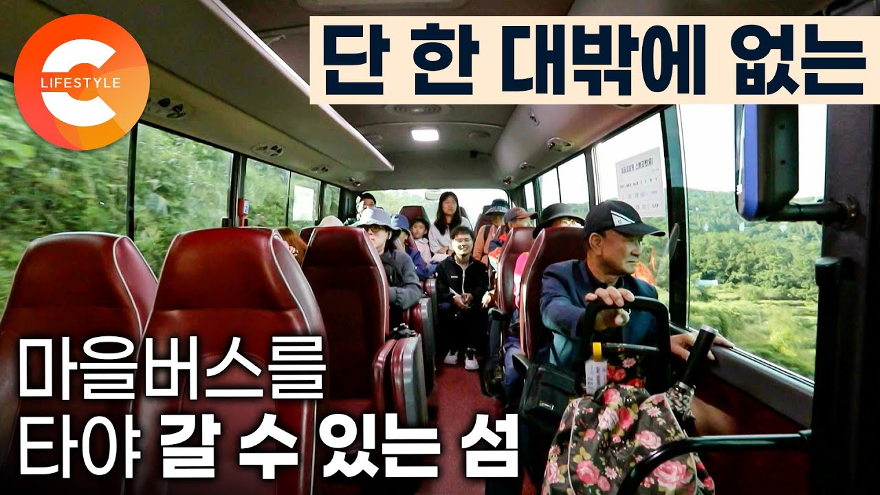 이 마을은 단 한 대의 버스만 운행합니다. 각기 다른 이유로 여수 연도에 터잡고 사는 사람들을 만나러 간 남자ㅣ섬마을 다이어리ㅣ#한국기행