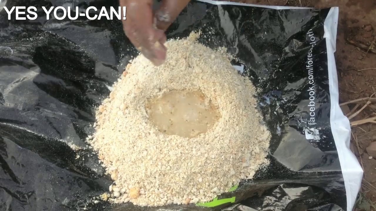 Fish Bait: Flour + Different Simple Ingredients
