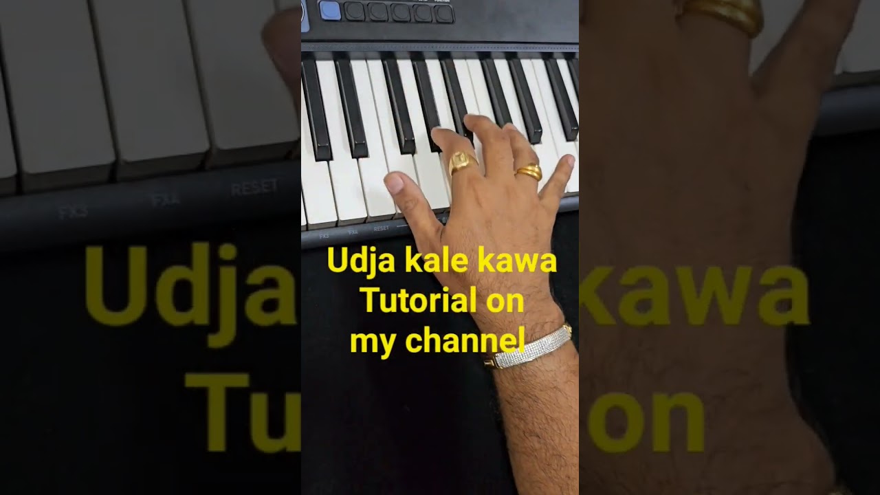 Udja kale kawa tere piano tutorial#viralshorts#gadar#gadar2#sunnydeowl#amishapatel#uditnarayan