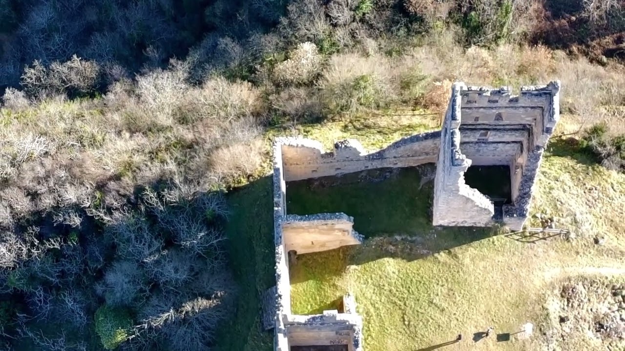 Moka au château de Miglos 👍🏻 son terrain de jeux 🐕‍🦺