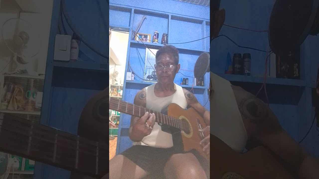 The wonder of you ins guitar 🎸