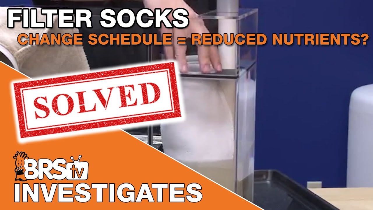 Is your filter sock changing schedule helping to reduce nutrients? | BRStv Investigates