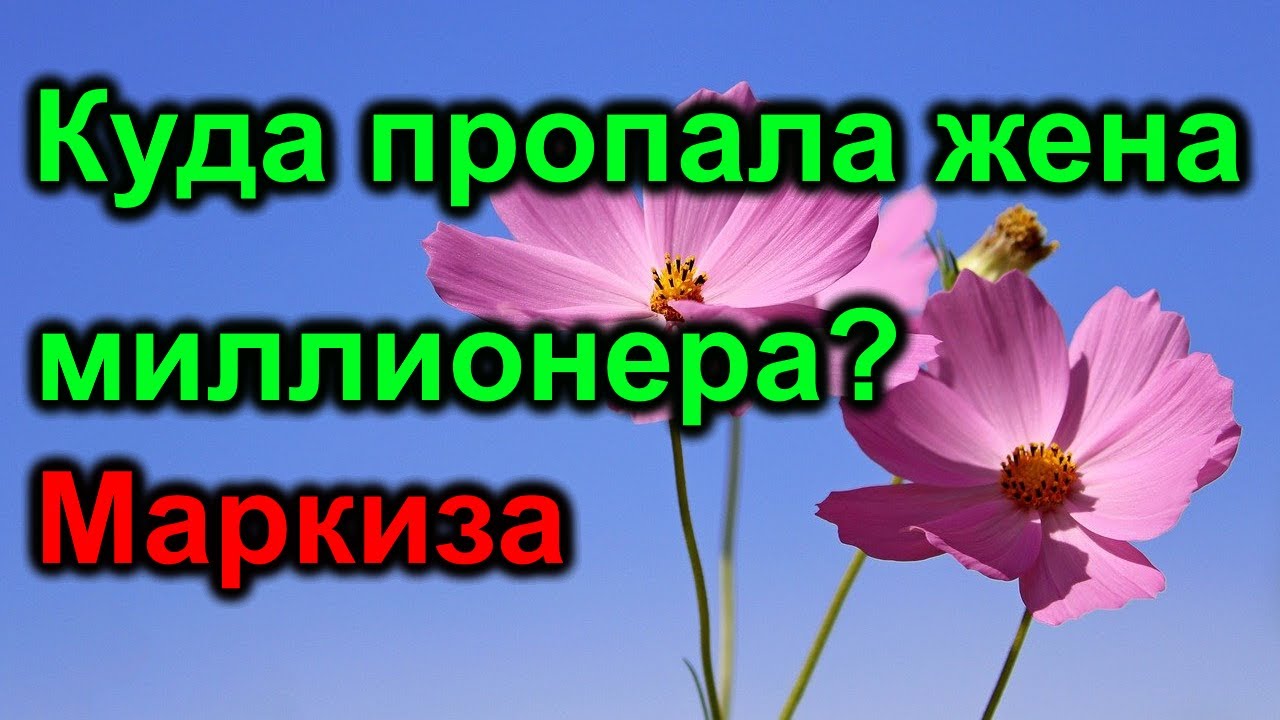 Куда пропала жена миллионера. Маркиза