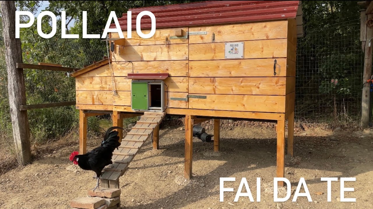 POLLAIO FAI DA TE