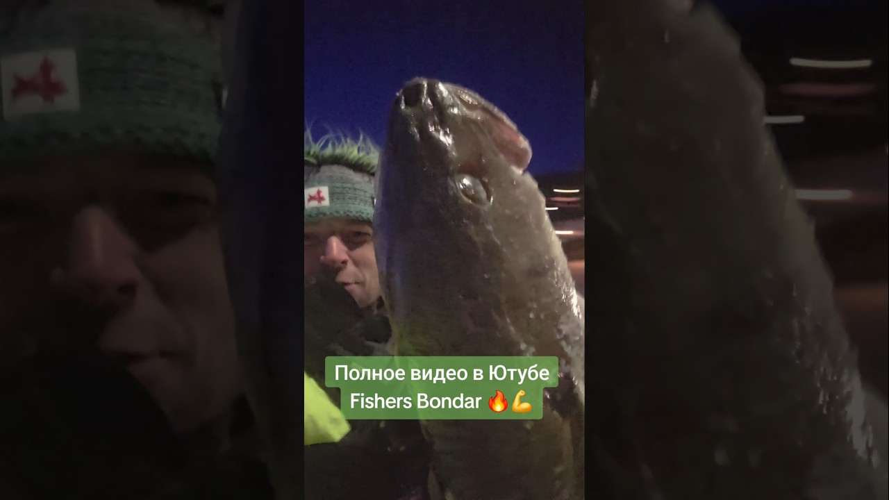 Зимняя рыбалка трофеный Скрей🔥💪 #fishing #norwayfishing #norway #seafishing #reels