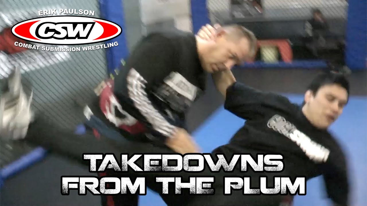 Takedowns From The Plum
