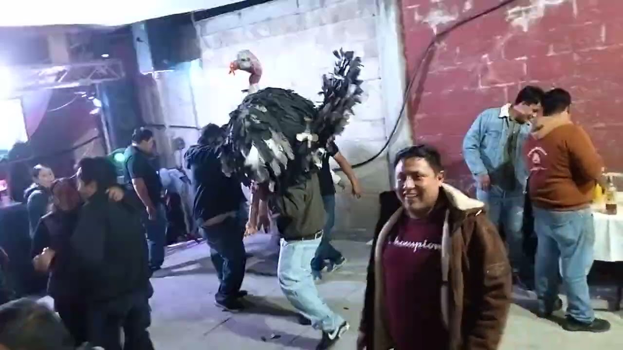 El guajolote carnavalero