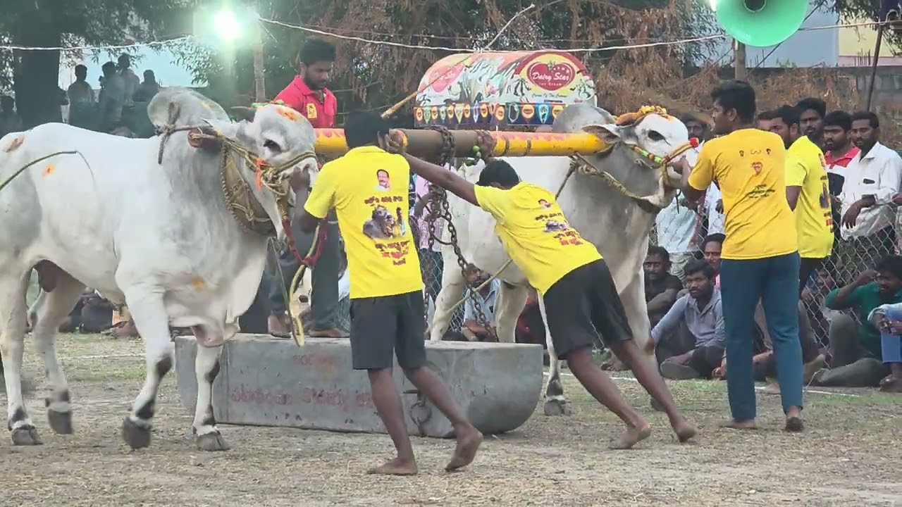 Arunachalam and sukhavasi satish combined with distance covered 3400 