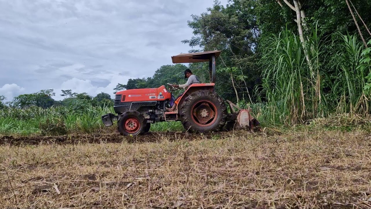 A GENIUS FARMING IDEA! CREATING THE PERFECT PLANTATION USING HIGH-TECH MACHINES!-Agriculture Farming