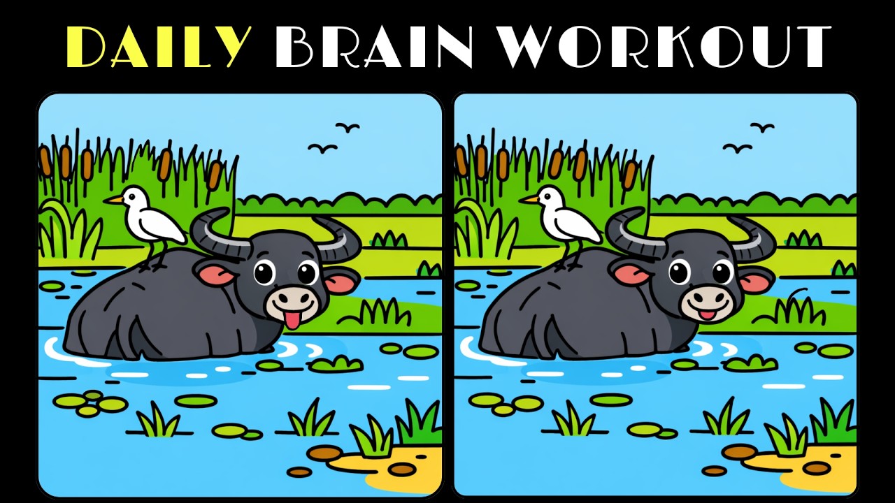 Brain Focus Training | | Can You Find All 3Differences? Captain Detective