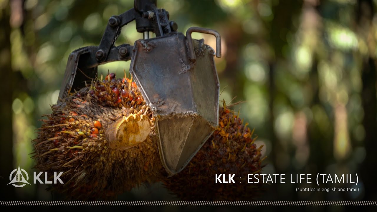 Estate Life (Tamil)