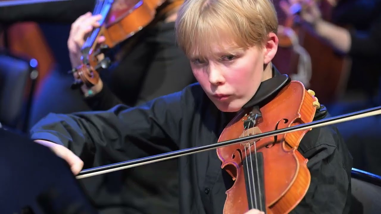 Serenad f&ouml;r str&aring;korkester, op. 11