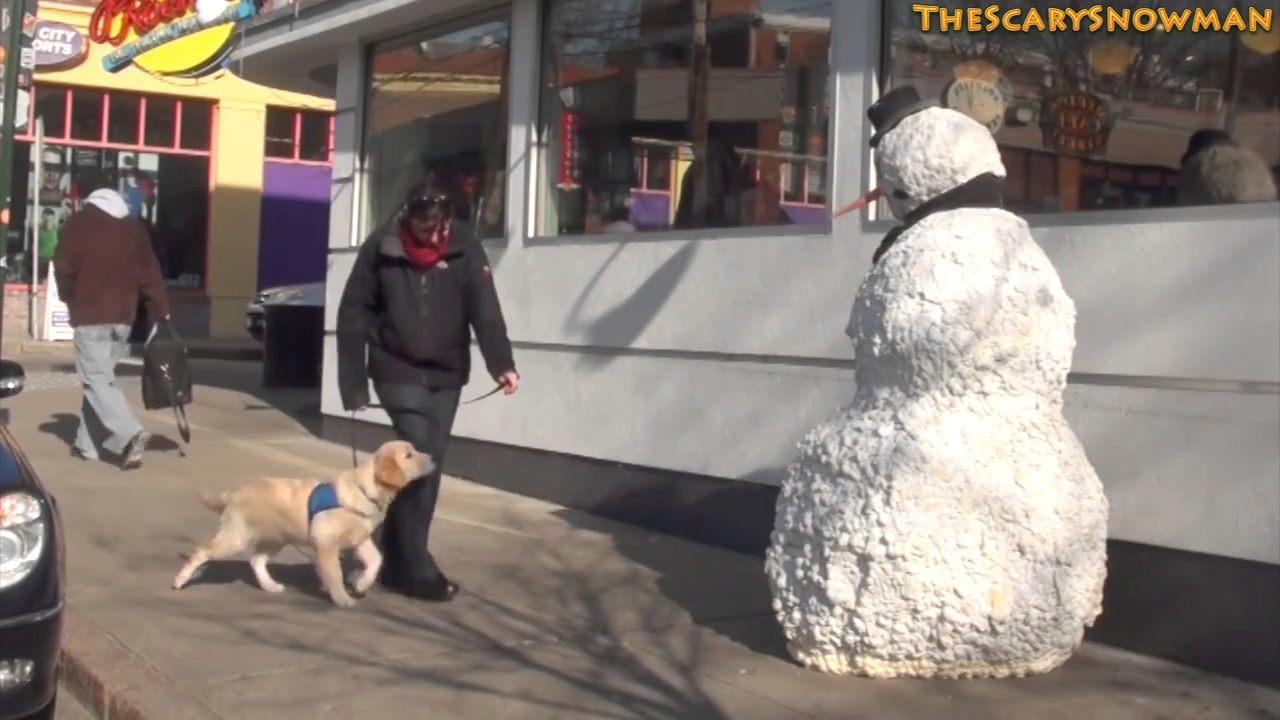 Scary Snowman Puppy Dog Scare Prank Compilation