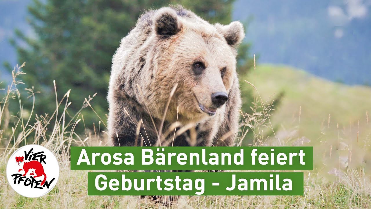 #arosafriday - unsere schönsten Momente mit Jamila! | VIER PFOTEN