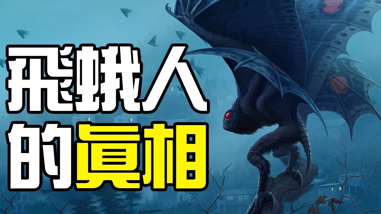 【UMA丨神秘生物&middot; 天蛾人】給我們童年帶來恐懼的天蛾人傳說真實面目到底是什麼？面對恐懼我們勇敢揭開它的神秘面紗，這才是天蛾人的真相丨神秘動物學UMA羊駝解說丨黑毛羊駝