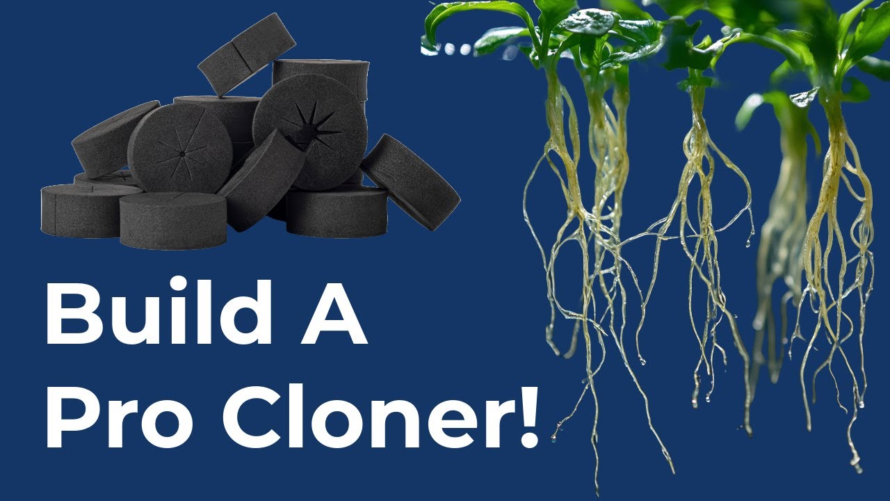 Aeroponic Cloning: Step-by-Step DIY Cloner Build