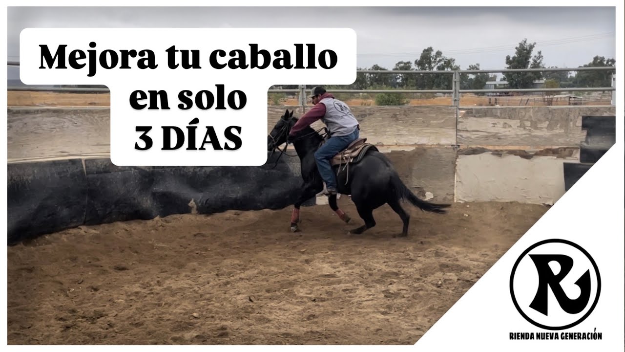Como mejorar mi caballo en 3 d&iacute;as