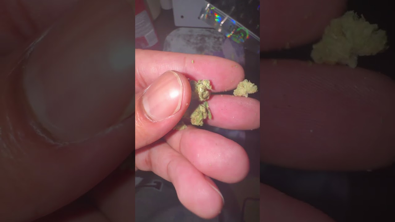 Litfarms review VIOLET FOG👾