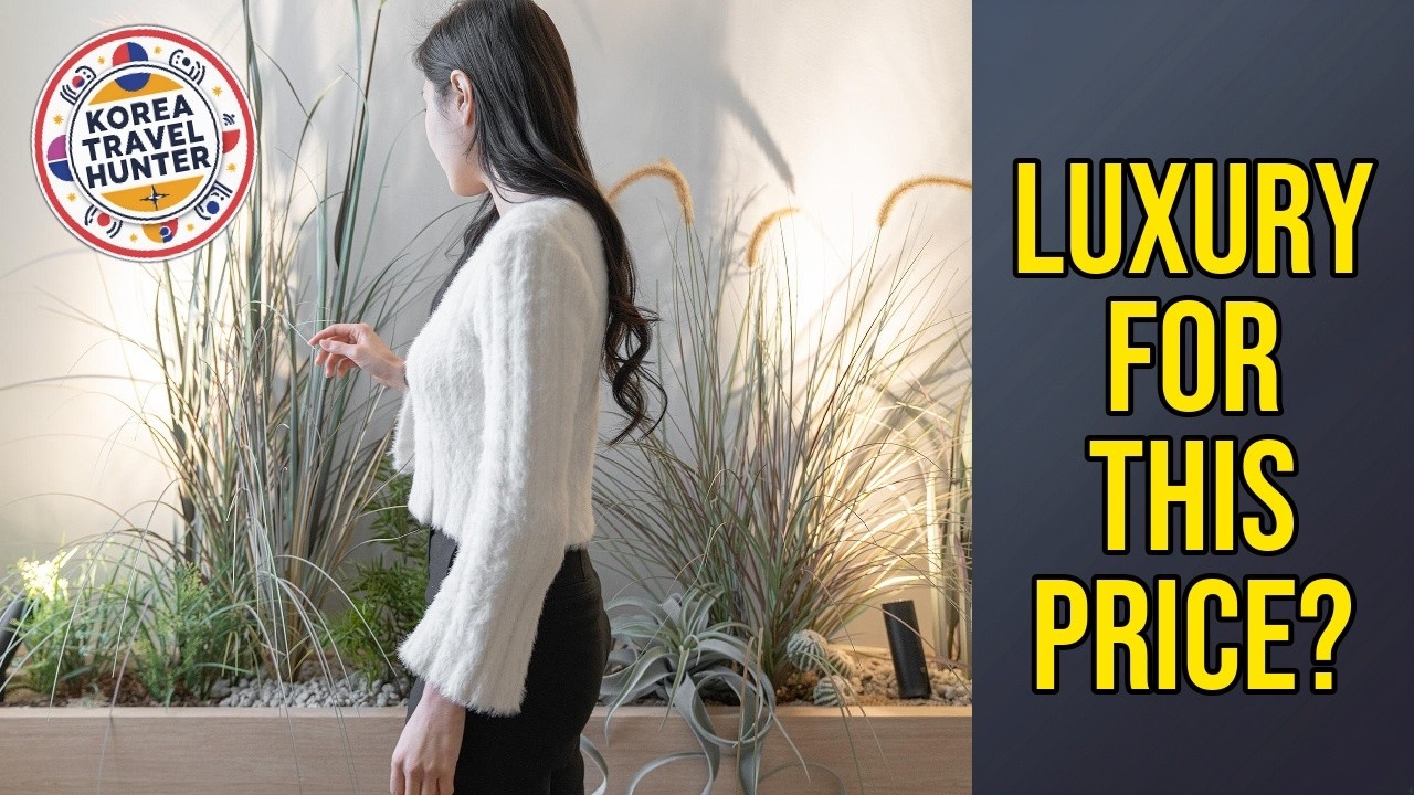 Siheung Brown Dot Jeongwang - Luxury for This Price? | Ansan-si, South Korea🛏️