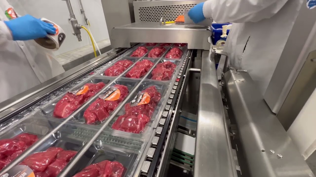 MULTIVAC R 175 MF Thermoformer Multifresh Packaging Machine- Item #9422- M&M Equipment Corp