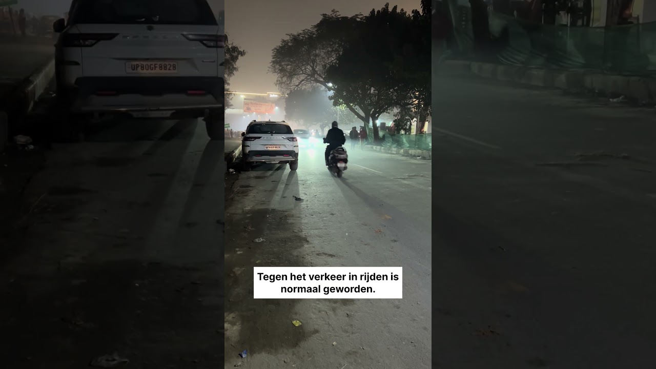 India 2026: Verkeersregels Bestaan Niet