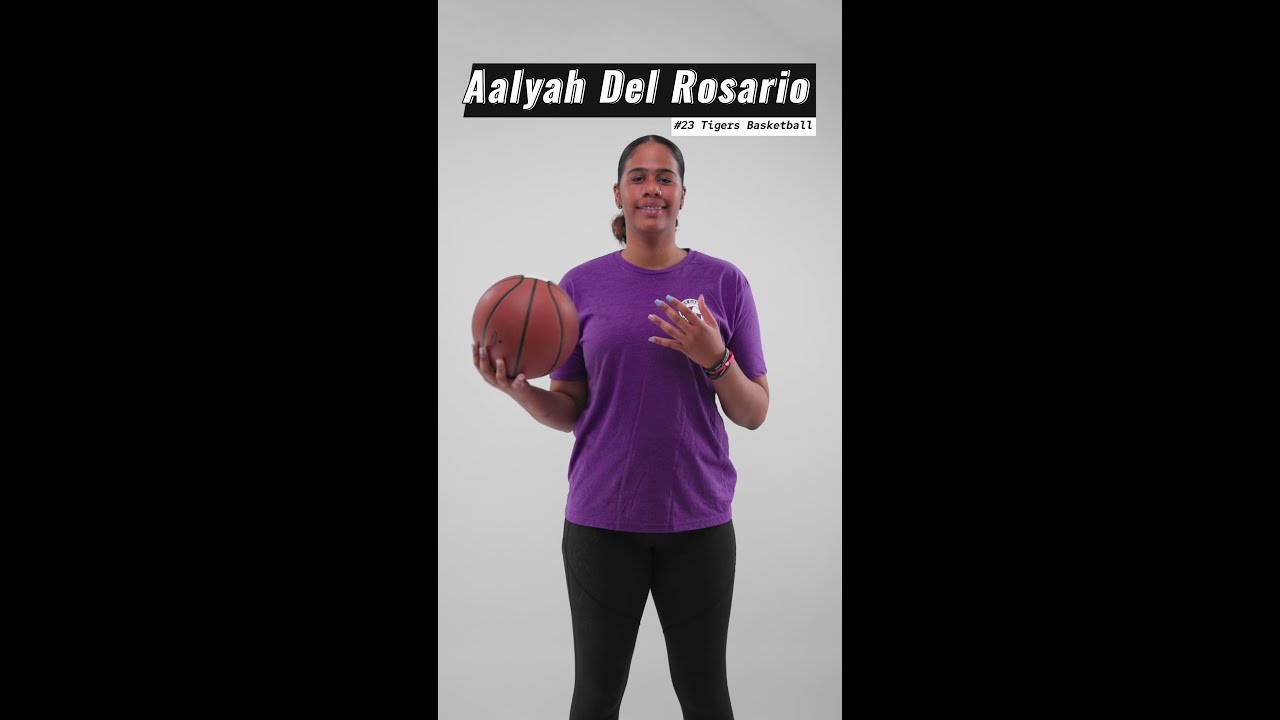 The Growth of the WNBA!