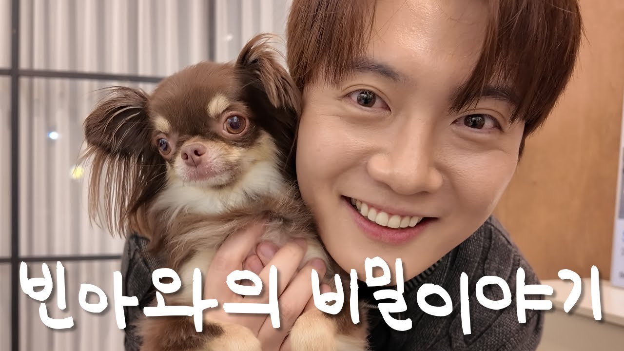 빈아와의 비밀 이야기