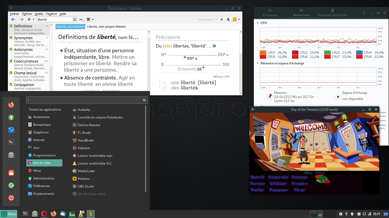 Applications sous Linux : liberté et puissance avec Manjaro Cinnamon