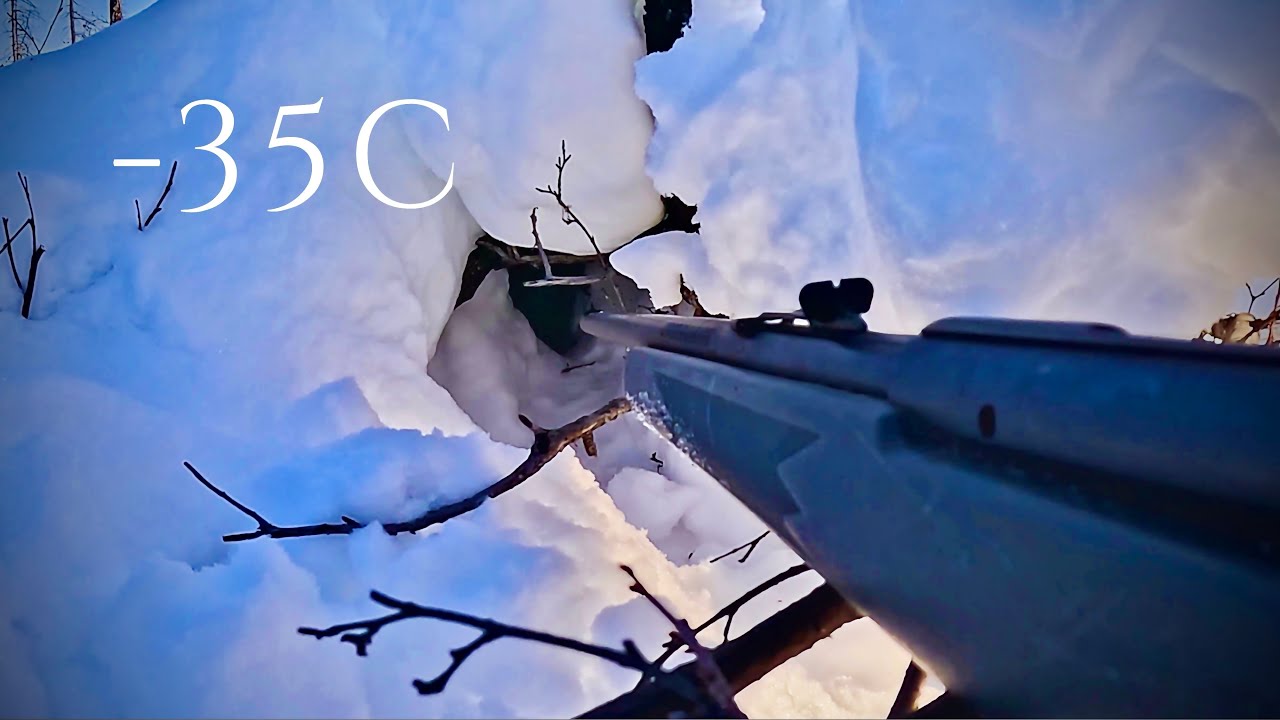 -35c Coldest Rabbit Hunt and Tree Cutting