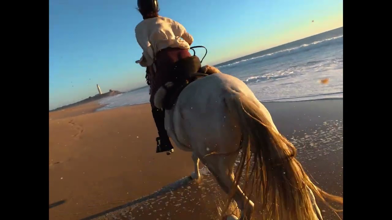 The wayfaring rider