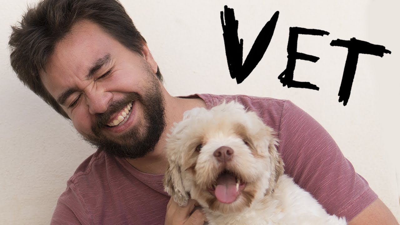 Veterinário Domiciliar (Ou Não Morda a Mão Que Te AlimenTavião)