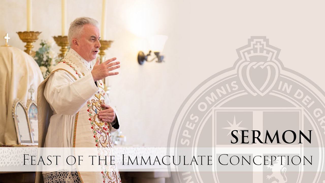 Sermon - The Silence of Our Lady - Fr. Le Roux - 12/8/22 - St. Thomas Aquinas Seminary