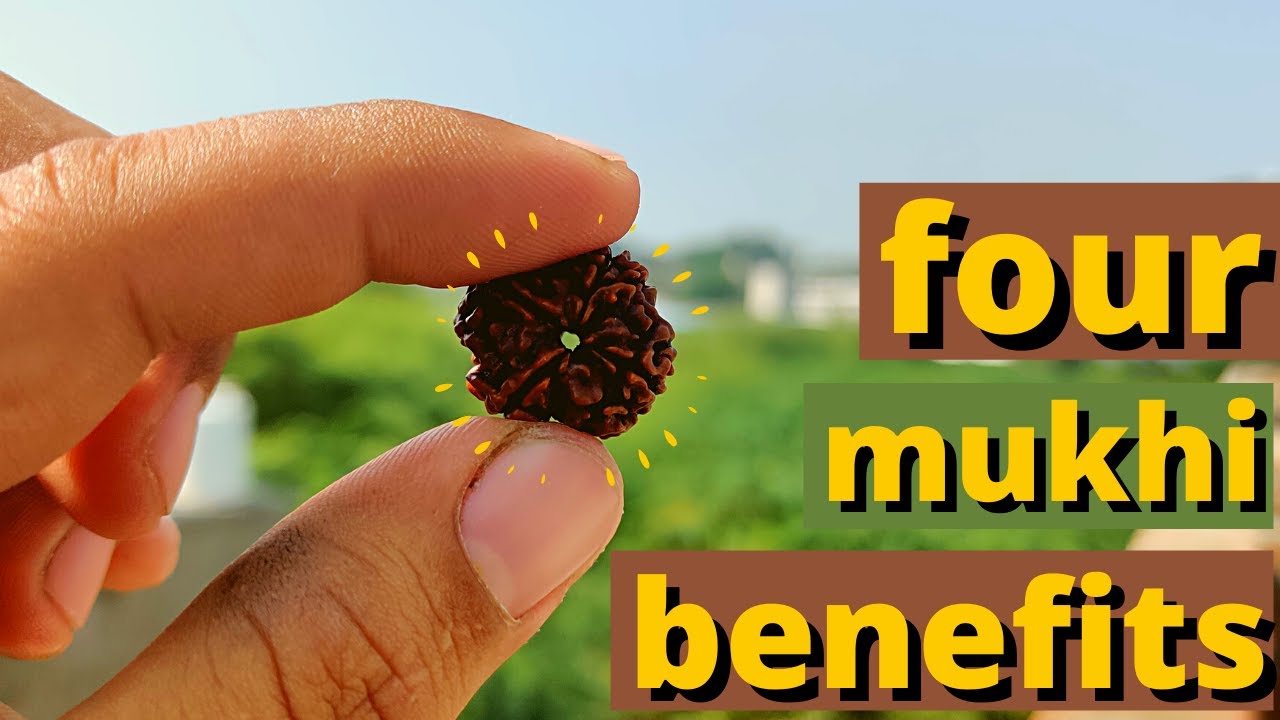 4 mukhi rudraksha benefits | how to wear 4 mukhi rudraksha