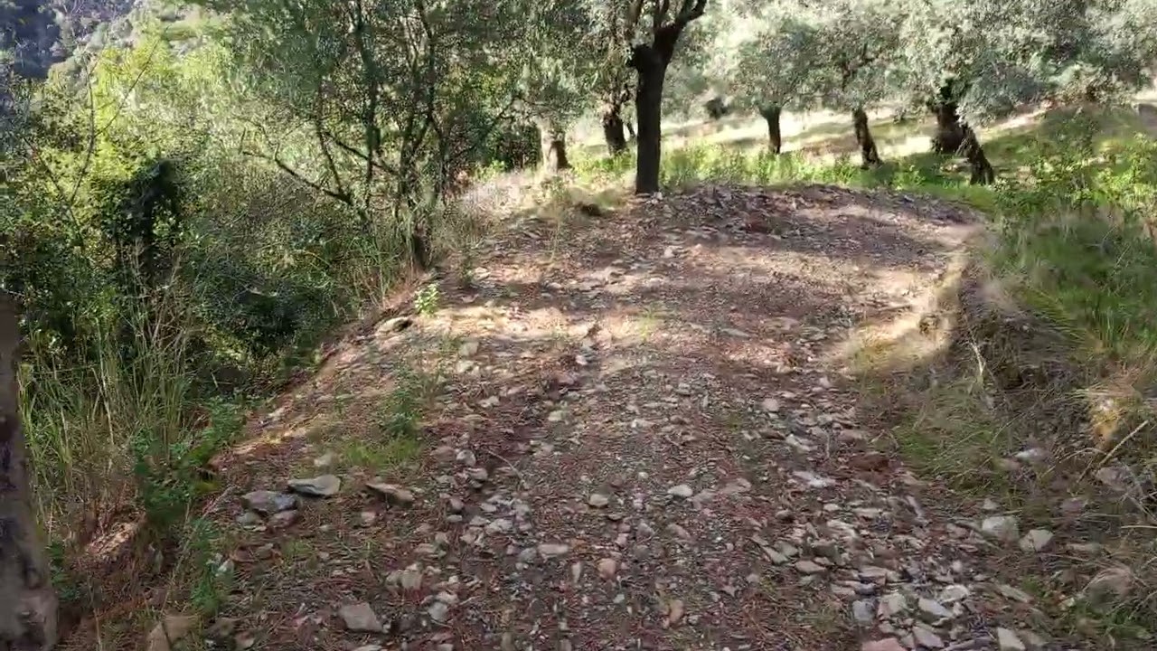 ISSIZ PATİKA