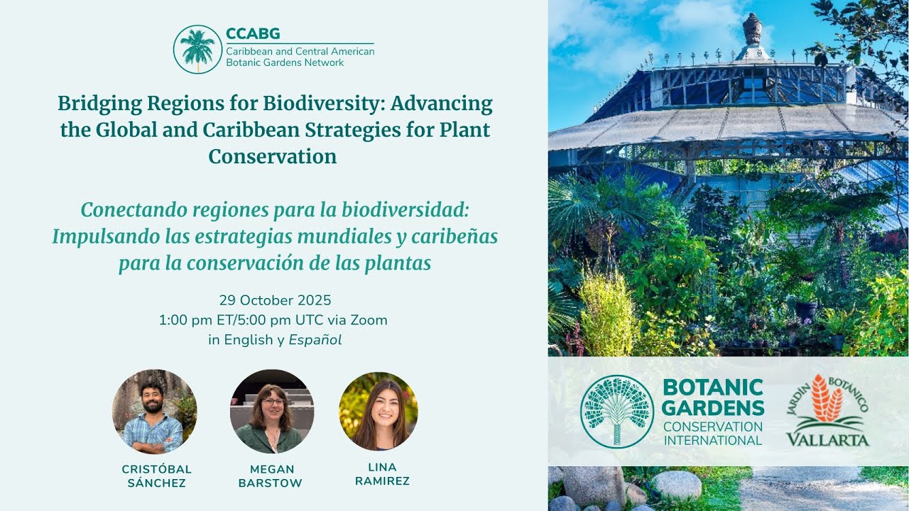 Conectando regiones para la biodiversidad:Impulsando estrategias para la conservación de las plantas