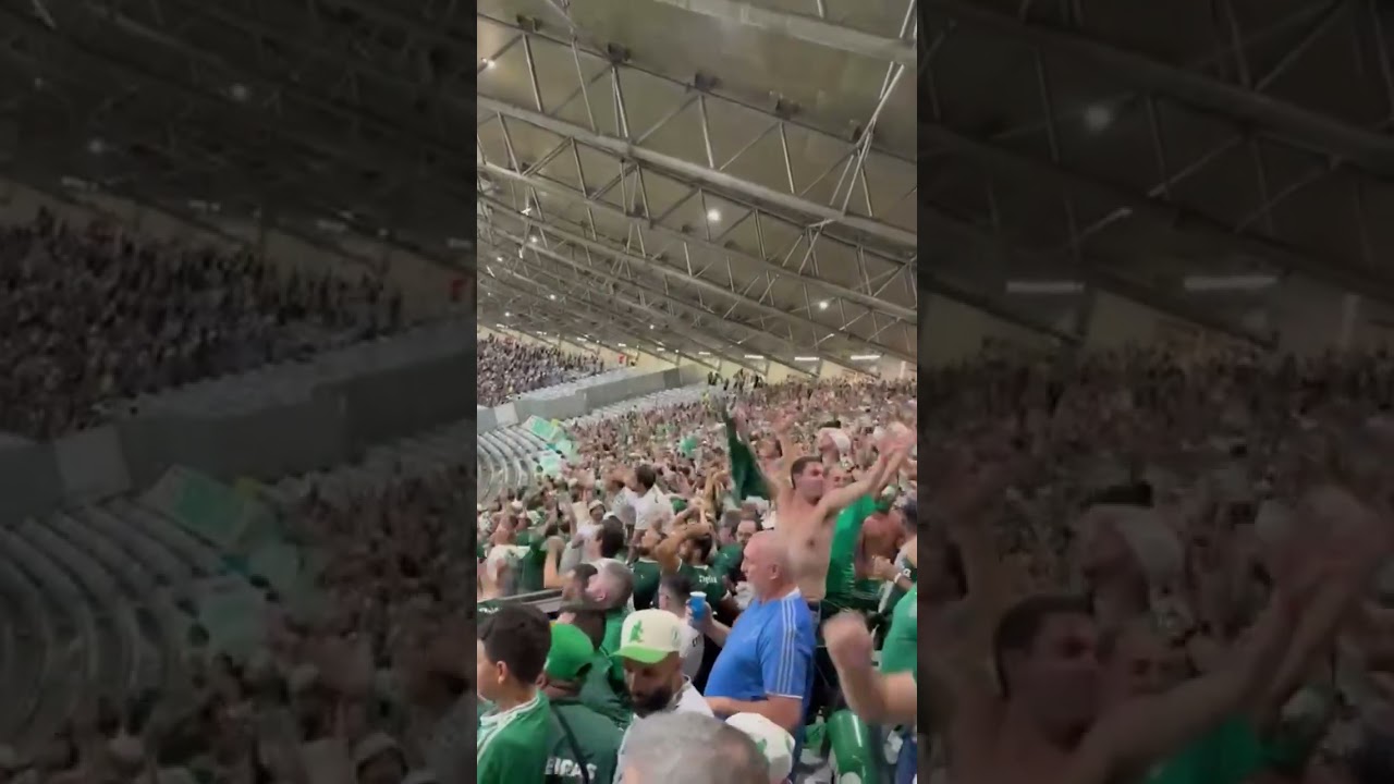 FESTA INCR&Iacute;VEL DA TORCIDA DO PALMEIRAS NO MINEIR&Atilde;O