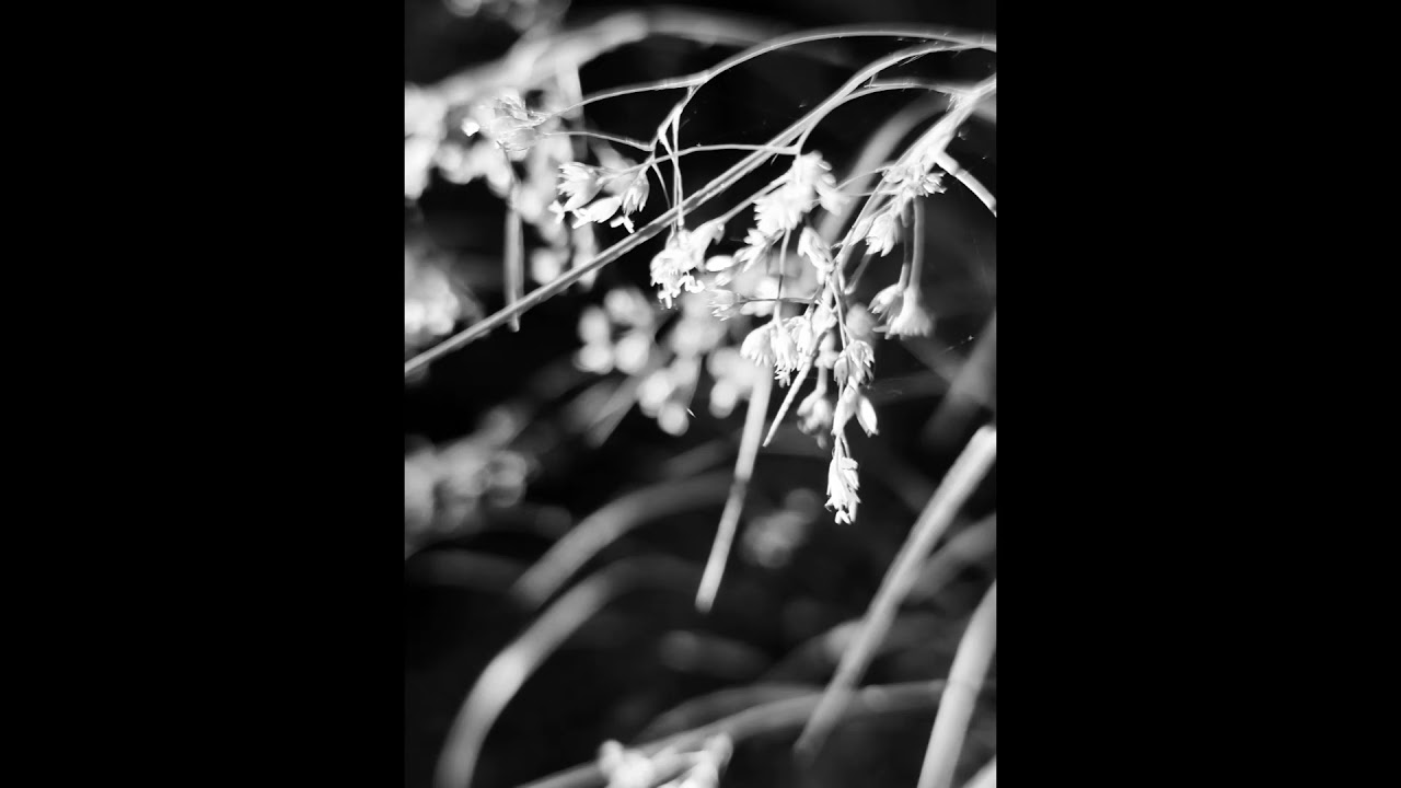 4. Lost Song (from the Lost Songs for piano), A. Jakobčič