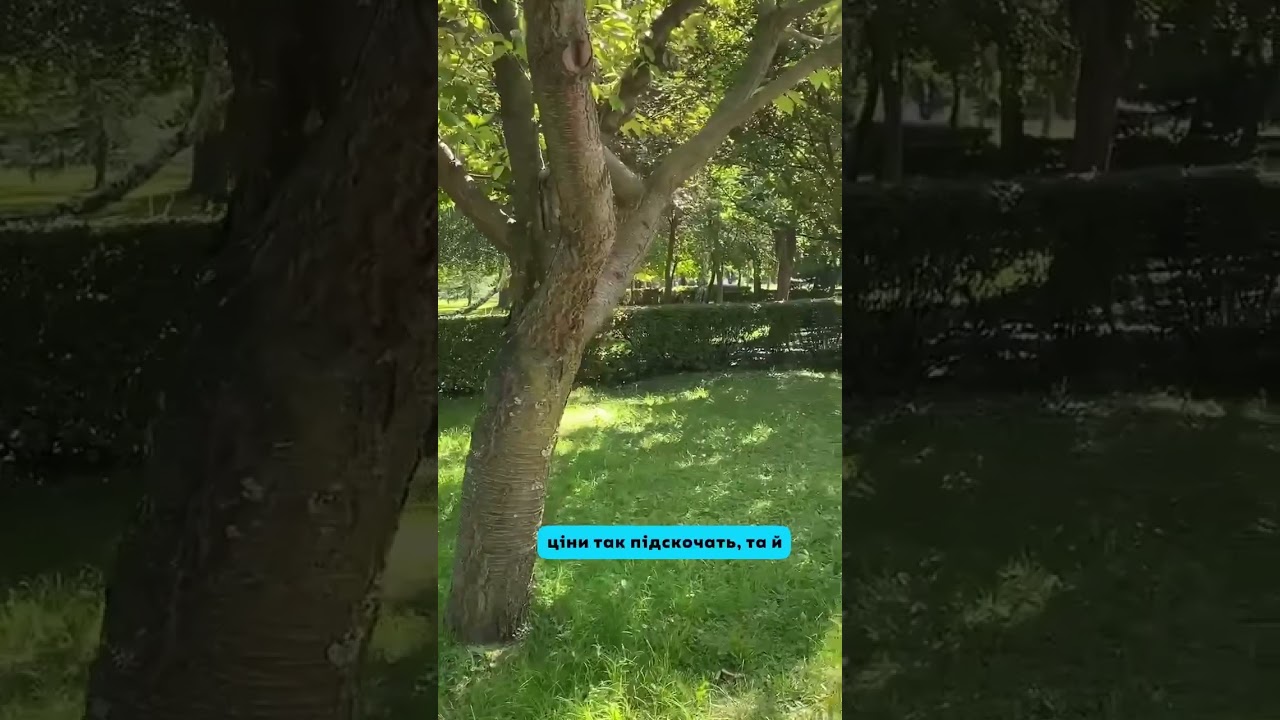 Чого відмовилась?