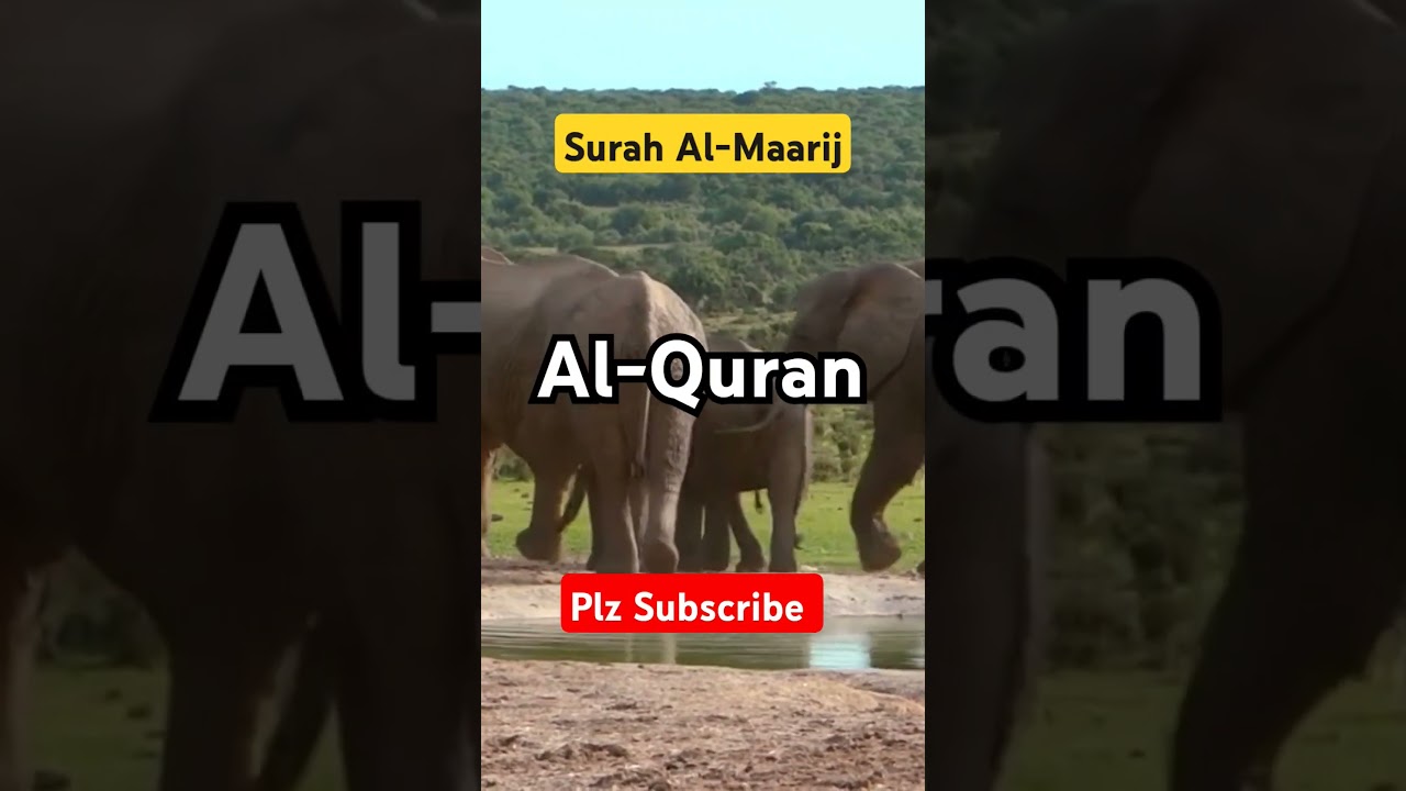 Surah Al-Maarij