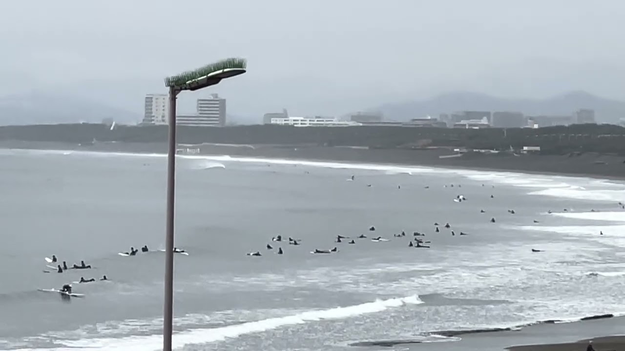 【鵠沼海岸】2026.3.16(月)AMヒザモモ☔️