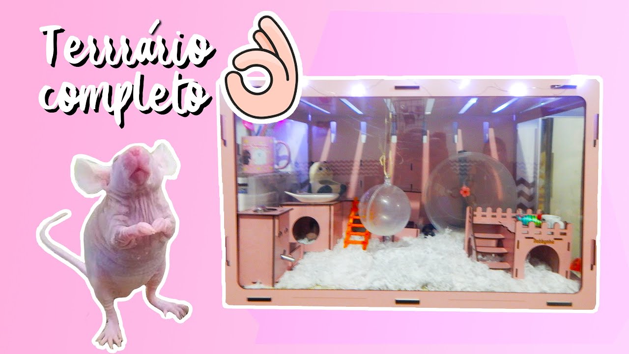 Como montar terrário para camundongo / hamster de MDF ?
