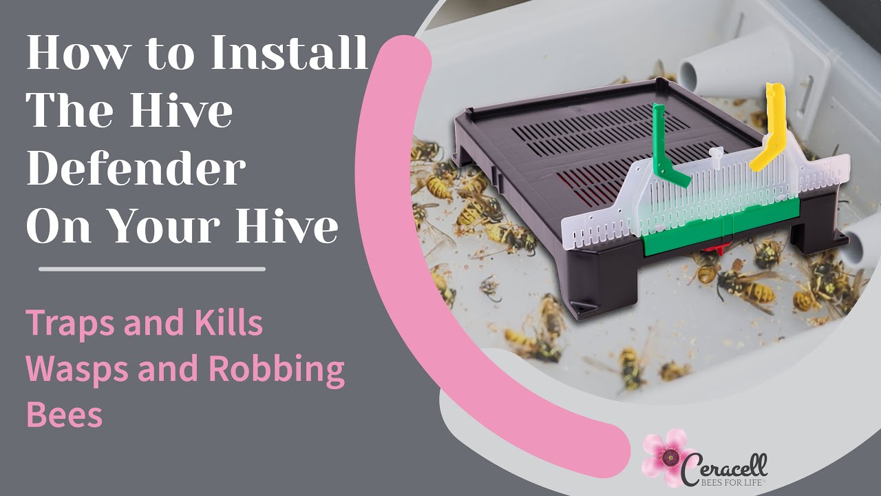 The Ceracell Hive Defender Floor - How to Install