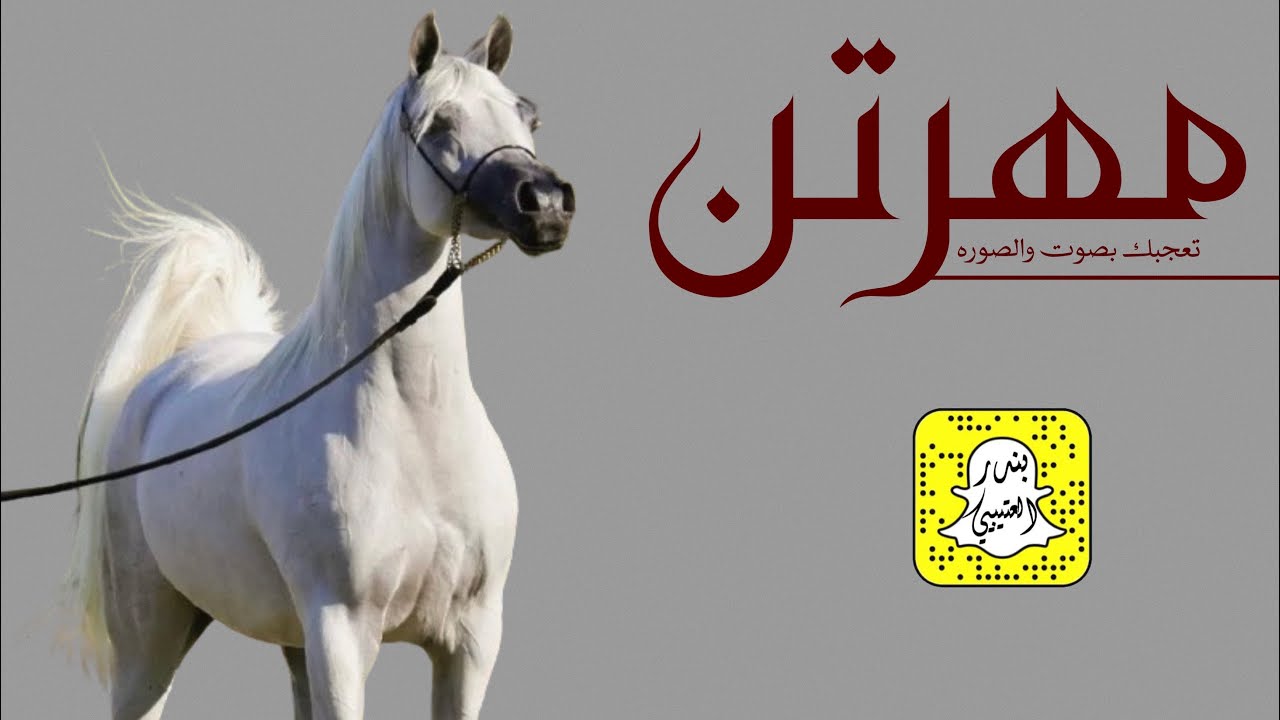 مهرتن تعجبك بصوت والصوره اداء سعد محسن 2024 حصرياً