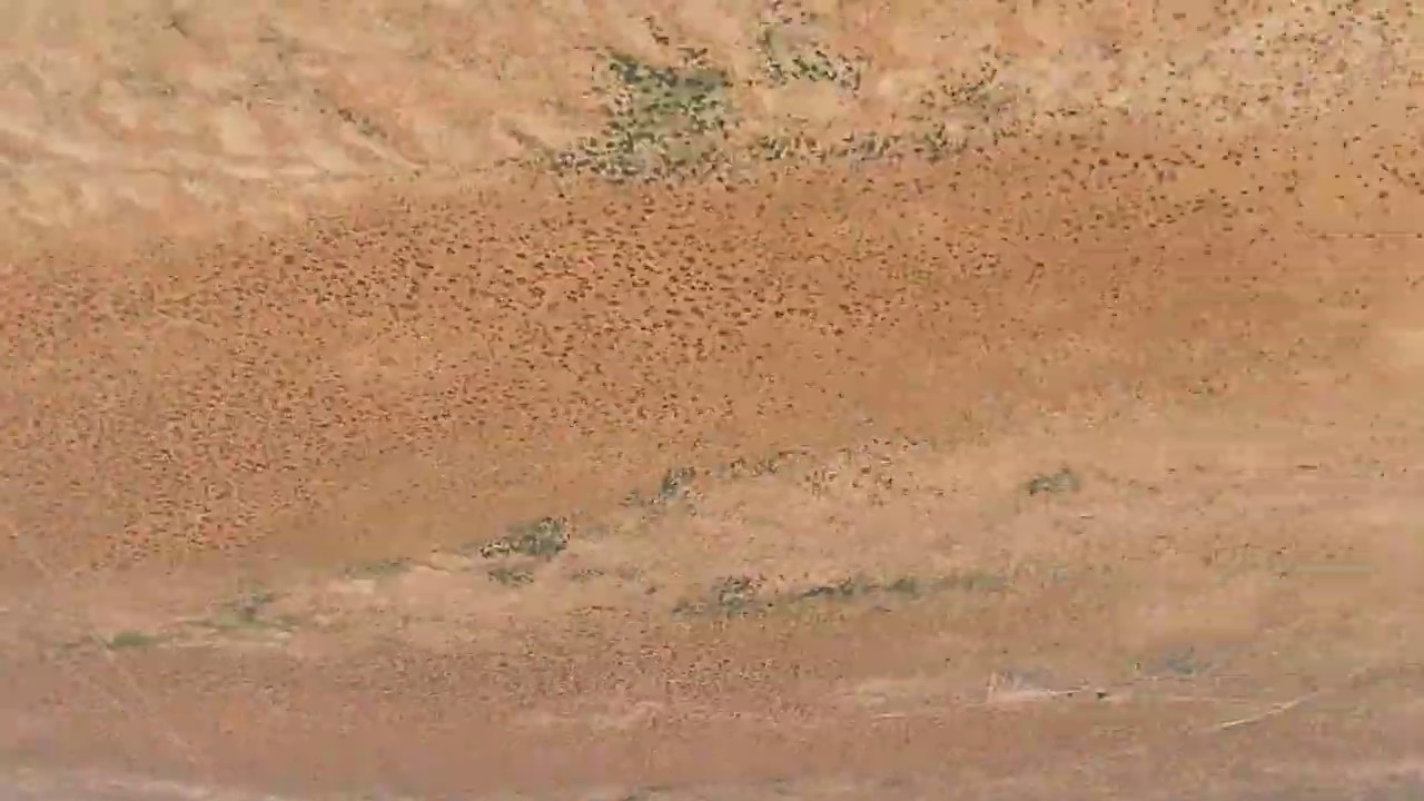 Silvereye 2019 - Unseen In-flight Footage