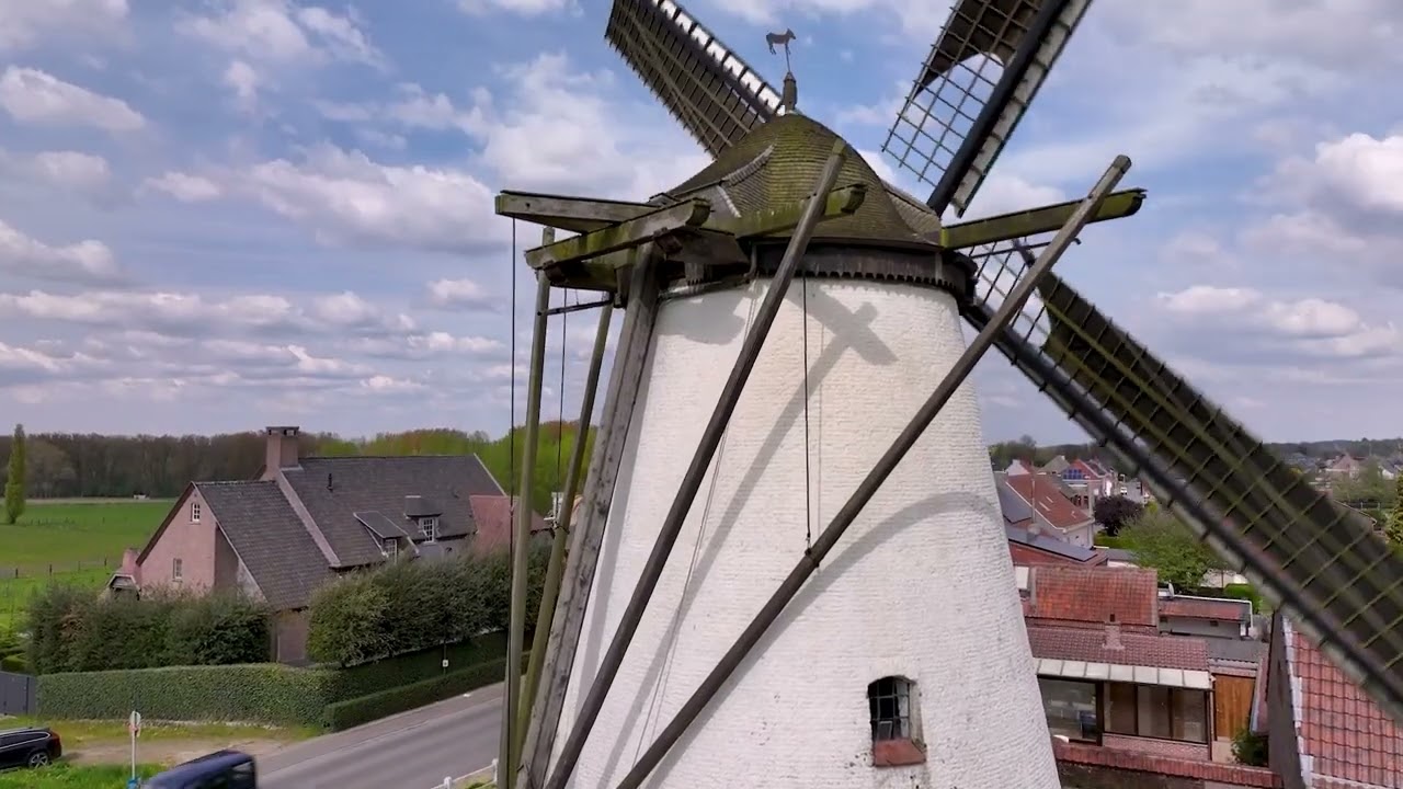 Herzele Molendag