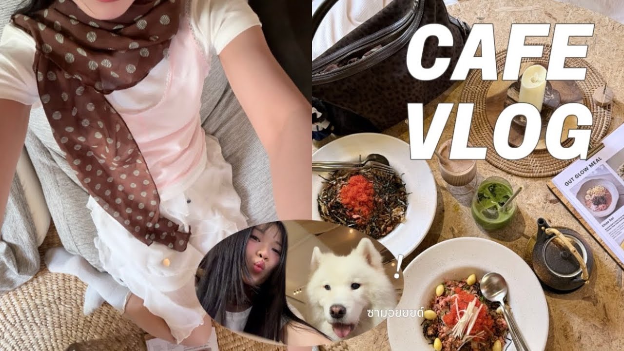 Chill Day Vlog ไปคาเฟ่เล่นกับน้องหมาซามอยด์
