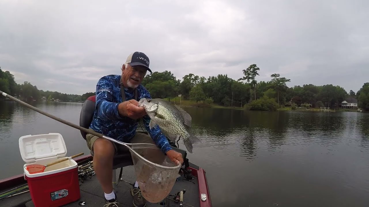 Lake Murray  Jumbo White Perch & Crappie