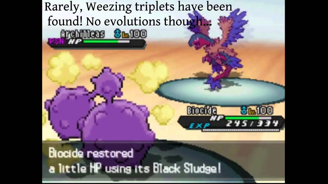 PokeMoshPit Battle #657:  Necrostevo vs TrainerConnor100 [B2/W2 RU]